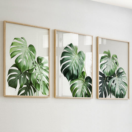 Large monstera leaves in a soft green palette on white background for modern plant decor.

