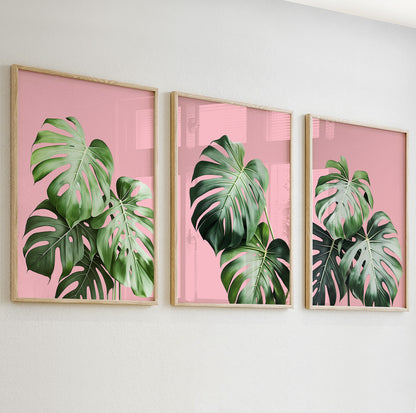 Lush monstera leaves in tropical green on soft pink background for bold wall decor.

