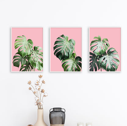 Minimalist botanical poster with monstera leaves contrasting beautifully with pink tones.

